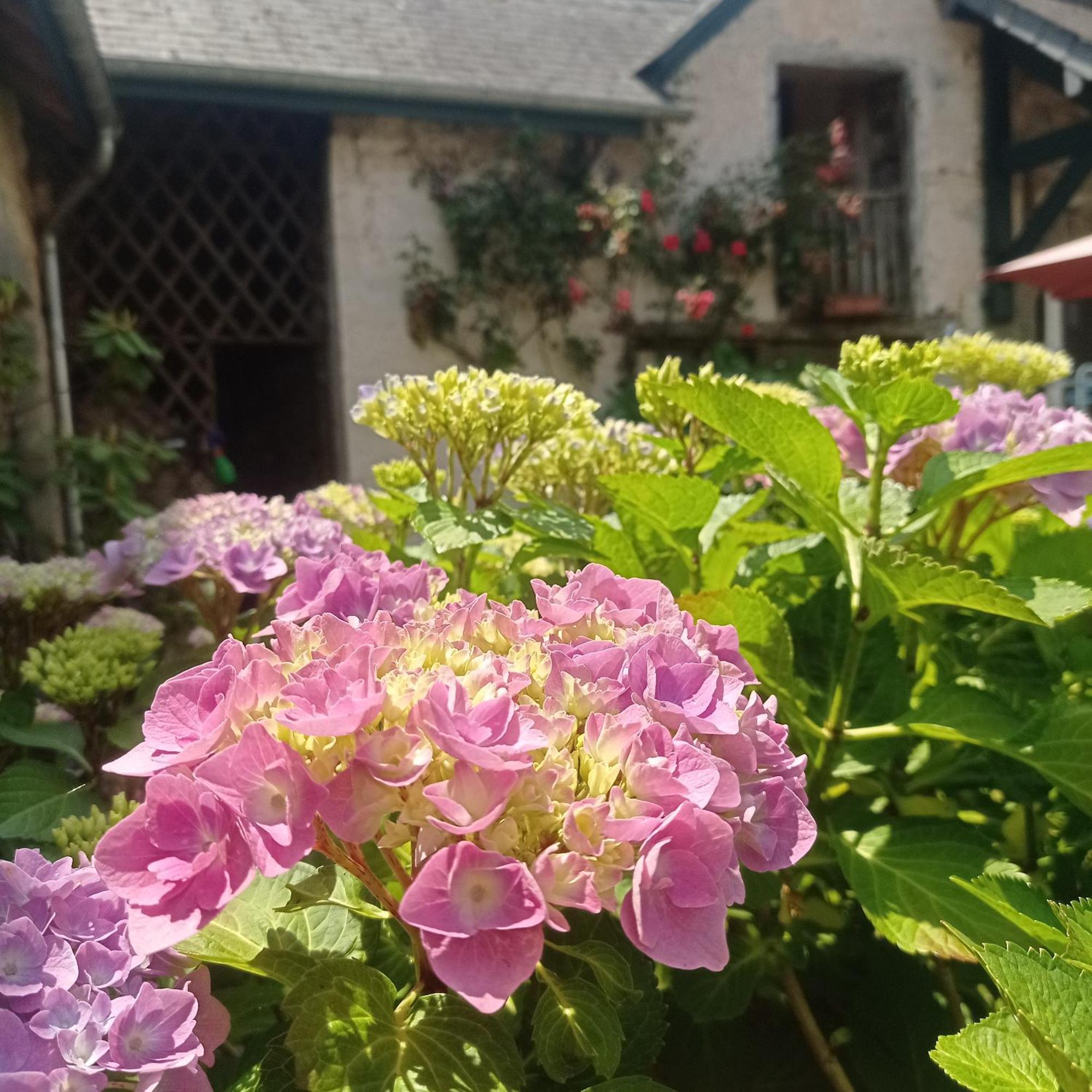 Le Clos De Cinacle Ogeu-les-Bains Exteriör bild